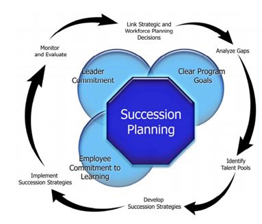 succession planning process