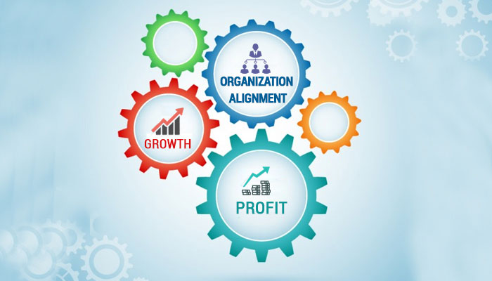 Organization Alignment