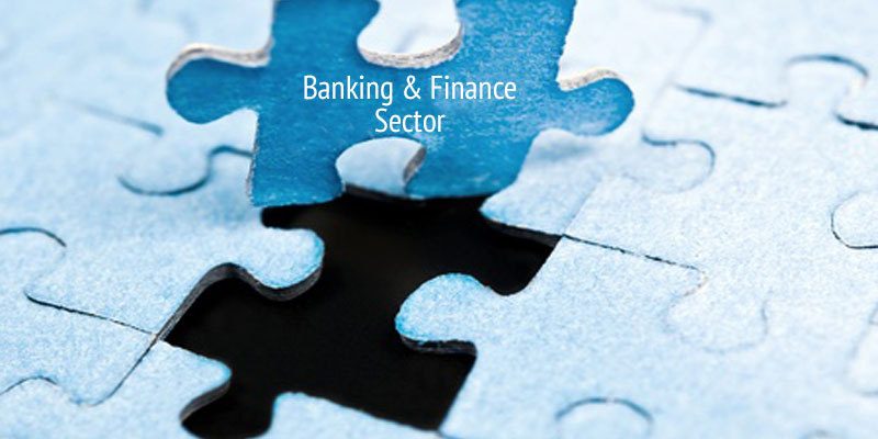 Performance Management for Banking and Financial Sector